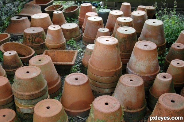 Pots, Pots, Pots